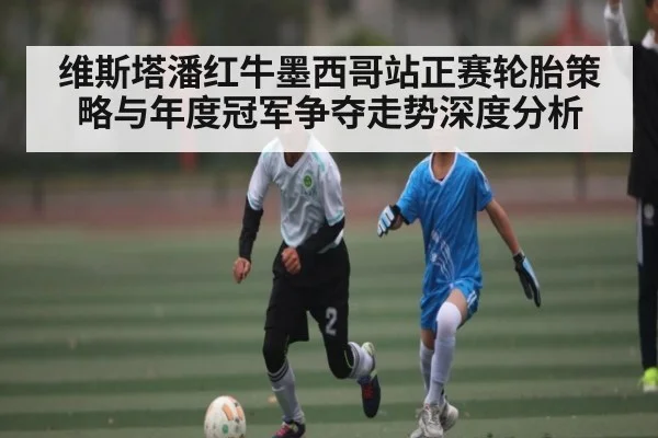 维斯塔潘红牛墨西哥站正赛轮胎策略与年度冠军争夺走势深度分析